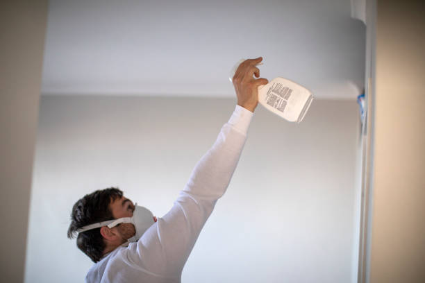 Mold Testing and Removal in Columbus Af, MS