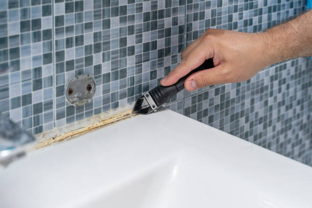 Best Fast Mold Removal  in Columbus Af, MS