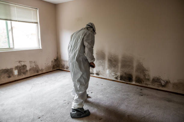 Best Emergency Mold Removal  in Columbus Af, MS